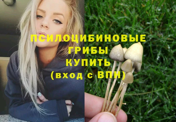 героин Лагань