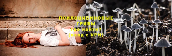 героин Лагань