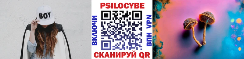 Купить где  Любим  Галлюциногенные грибы Magic Shrooms 